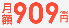 v6プラス 月額909円（税抜）